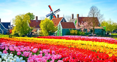 Hollanda'da inançsızların sayısı artıyor