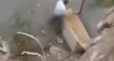 Köpeğe tecavüz eden şahsın cezası belli oldu, savunmasına inanamayacaksınız