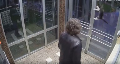 İstanbul Küçükçekmece'de sokak hayvanlarını dövüp, mamalarına çamaşır suyu kattı