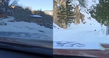 Kahramanmaraş’ta köpek yardım konvoyuna köye kadar rehberlik etti