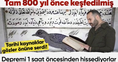 Tarihi kaynaklar gözler önüne serdi! Tam 800 yıl önce keşfedilmiş: Depremi 1 saat öncesinden hissediyorlar 'Erken öğrenmek için kullanılabilir'
