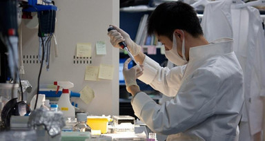 Koronavirüs sonrası dünyayı şimdi de köpek gribi sardı! İnsanlara rahatça bulaşmak için adapte oluyor