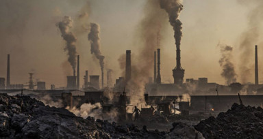 Karbondioksit artışı ile yükselen hava sıcaklığı bazı hastalıkları neden oluyor