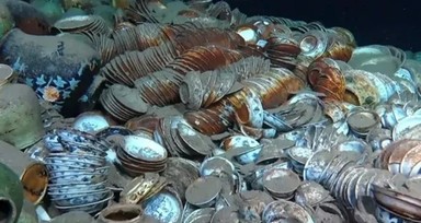 Heyecanlandıran keşif! Denizin altındaki gemi enkazında bulundu! Tam 100 bin parça...