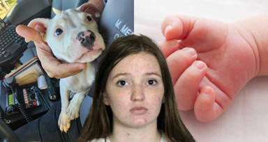ABD'de tüyler ürperten olay! Genç anne 4 aylık bebeği ile pitbullu aynı odada bıraktı! Sesleri duyup odaya koştu! Sonrası korkunç...