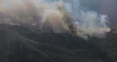 Çanakkale'nin Gökçeada ilçesinde orman yangını