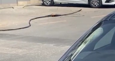 Ümraniye'de sıcaklar kabloları yaktı! İşte o görüntüler...