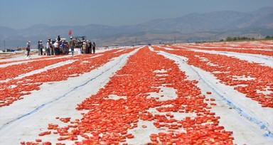 Kahramanmaraş'tan dünya ülkelerine kurutulmuş domates ihracatı