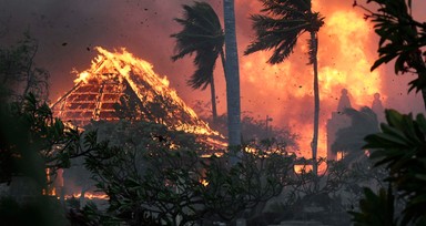 Hawaii savaş alanına döndü! Denize girerek hayatta kaldılar! Ölü sayısı yükseliyor