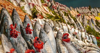 Balık avı başladı, istavritin fiyatı yarıya düştü