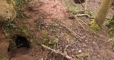 Çukuru tavşan yuvası zannettiler! Gerçek bambaşka çıktı