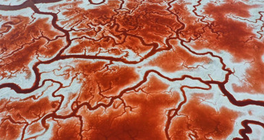 Gören kan sanıyor! Gerçek bambaşka çıktı