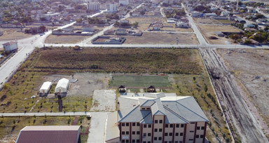 Tarım bölümü öğrencileri ayçiçeği yetiştirip ihtiyaç sahiplerine destek oldu