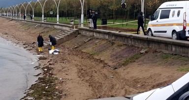 Kocaeli sahilinde temizlik yapan işçiler korkunç tabloyla karşılaştı! Kıyıya vurmuş cansız bedeni bulundu