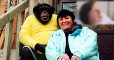14 yıl baktığı maymun komşusunun yüzünü yedi! O anlarda kadının polisle telefon konuşması tüyler ürpertti