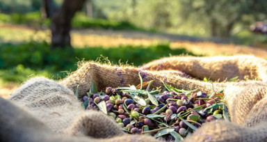 Son dakika haberleri... Fahiş fiyatla mücadele! Bakan Yumaklı: Ürünleri kontrol edip gereğini yapıyoruz
