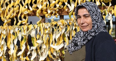 Dalında kuruşla ipte lirayla! Kadın girişimci herkesin dereye döktüğü limonda çareyi buldu
