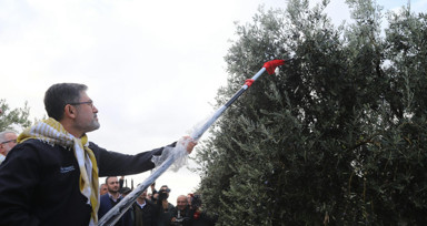 Bakan Yumaklı: Milletimiz zeytin üzerinden yapılan spekülasyonlara itibar etmesin