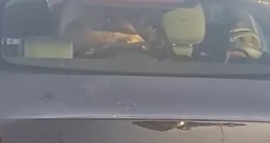 İstanbul'da kabus dolu anlar! Trafikte eşini dakikalarca darp etti