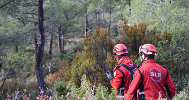 Mantar toplamak için gittiği ormanda kaybolan kişi için arama çalışmaları sürüyor
