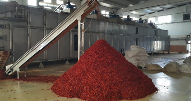 Gaziantep'in İslahiye ilçesinden 25 ülkeye pul biber ihracatı! Toplam değeri 1 milyon dolar...