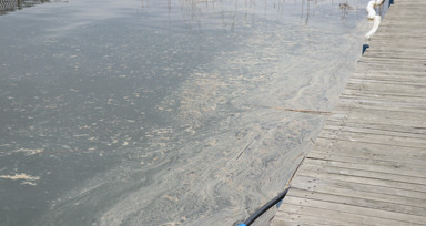 Sapanca'da milyonların içme suyuna akaryakıt sızdı
