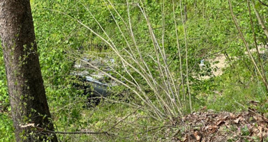 Zonguldak'ta el freni çekilmeyen otomobil fındık tarlasına uçtu