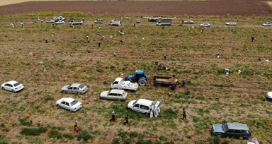 Hatay'da 80 dönümlük tarlasından istediği verimi alamayan çiftçi bedavaya dağıttı