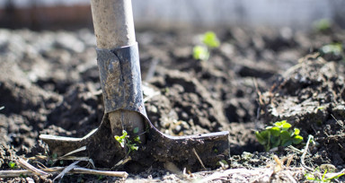 Rüyada Toprak Kazmak Ne Anlama Gelir? Neye Delalet Eder?