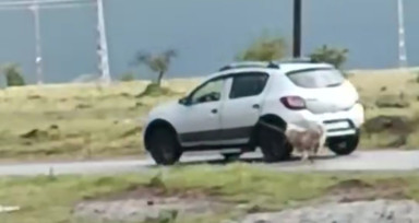 Kayseri'de köpeği otomobile bağlayıp sürükleyen şahıs yakalandı