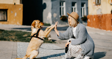 Rüyada Köpekle Konuşmak Ne Anlama Gelir? Neye Delalet Eder?