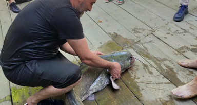 Düzce'de amatör bir balıkçının ağına 52 kiloluk yayın balığı takıldı