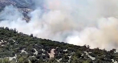 Muğla'daki orman yangınının çıkış nedeni, sigara izmariti