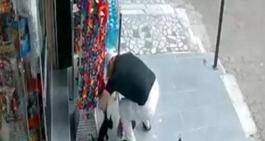 İstanbul'da kedi hırsızlığı olayı: Önce sevdi, sonra çaldı