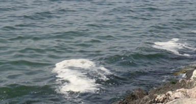 Marmara'da müsilaj kuşkusu! Örnekler TÜBİTAK'a gönderildi