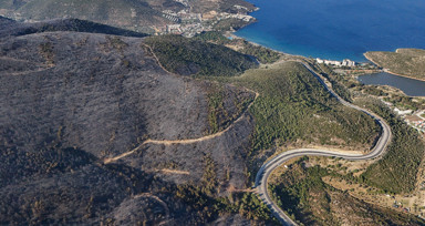İzmir'de zarar gören ormanlık alan havadan görüntülendi