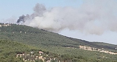Gaziantep'te orman yangını!