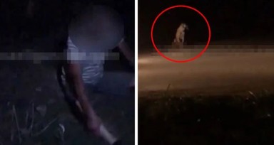 Kartepe'de 60 yaşındaki adam köpeğe tecavüz ederken yakalandı! O sırada sorulan soru...