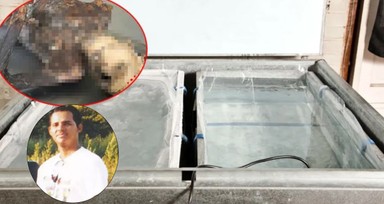 ABD'de akılalmaz olay! Markette buzdolabının arkasına düşen adamın cesedi 10 yıl sonra bulundu