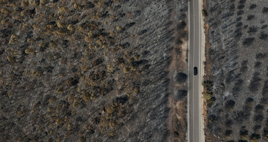 Orman yangınlarının ardından Ege'nin yeşilliği yerini griliğe bıraktı