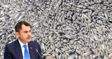 İzmir Körfezi ​​​Acil Eylem Planı! İlk toplantı 17 Eylül'de