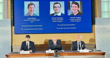 2024 Nobel Kimya Ödülü Sahiplerini Buldu