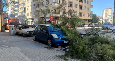 Meteoroloji fırtınanın yerle bir ettiği Antalya için turuncu kodla uyarı verdi