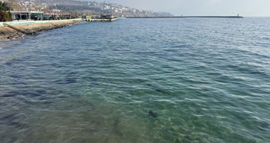 Tekirdağ'da deniz ulaşımı yeniden başladı