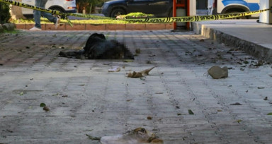 Antalya'da eski eşini yakmadan önce kan donduran tehdit: "Bir daha KADES'e basma fırsatın olmayacak"