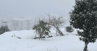 Karadeniz Bölgesi'nde kar yağışı ve soğuk hava etkisi