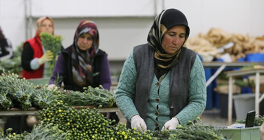 Türkiye, Dünya Kadınlar Günü için 75 milyon dal çiçek ihraç etti