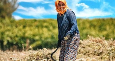 'Kadının Güçlenmesi' genelgesi Resmi Gazete'de