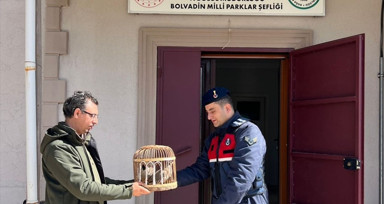 Afyonkarahisar'da Keklik Avına Para Cezası Uygulandı