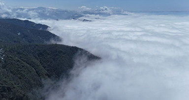 Ordu'da sis bulutlarıyla büyüleyici manzaralar